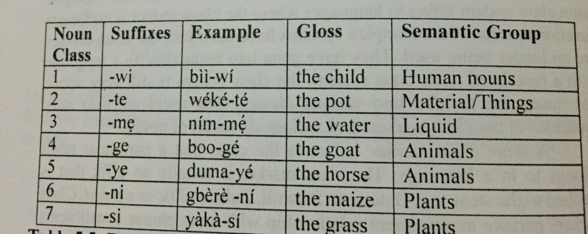 noun-class-system-bolanle-arokoyo-phd